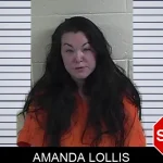 Amanda Lollis mugshot – Fannin County , Georgia Amanda Lollis mugshot