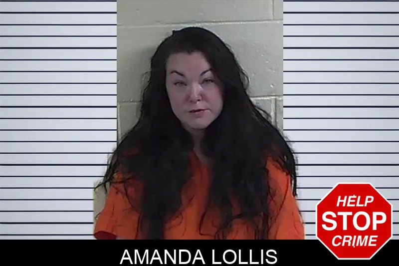Amanda Lollis mugshot – Fannin County , Georgia Amanda Lollis mugshot