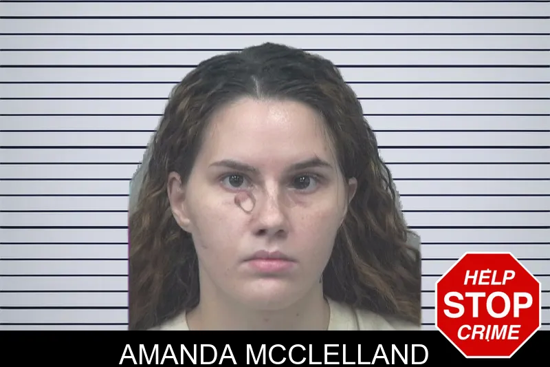 Amanda McClelland mugshot – Gwinnett County , Georgia Amanda McClelland mugshot