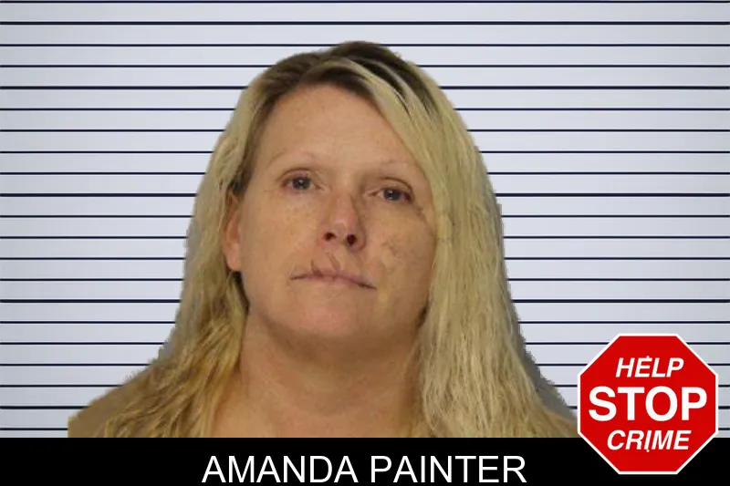 Amanda Painter mugshot