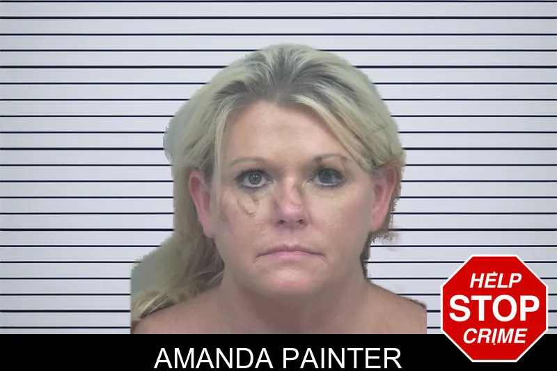 Amanda Painter mugshot
