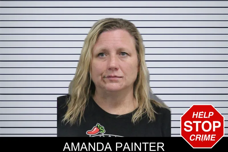 Amanda Painter mugshot – Catoosa County , Georgia Amanda Painter mugshot