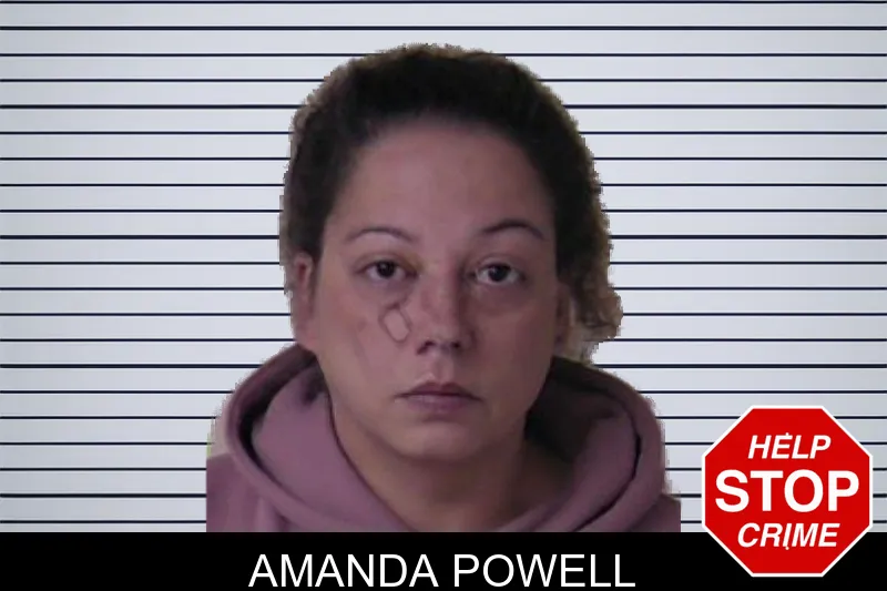 Amanda Powell mugshot – Walker County , Georgia Amanda Powell mugshot