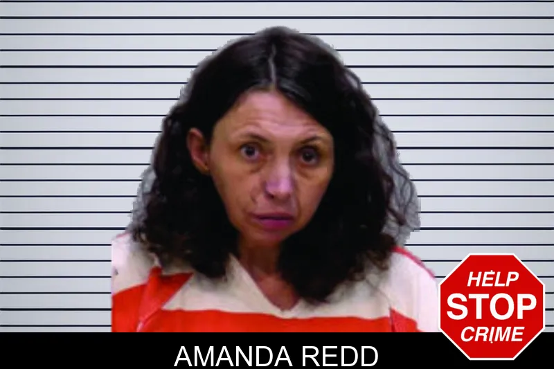 Amanda Redd mugshot