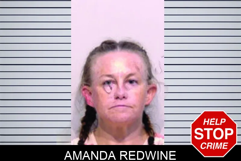 Amanda Redwine mugshot