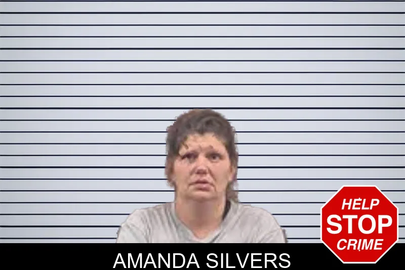 Amanda Silvers mugshot – Banks County , Georgia Amanda Silvers mugshot