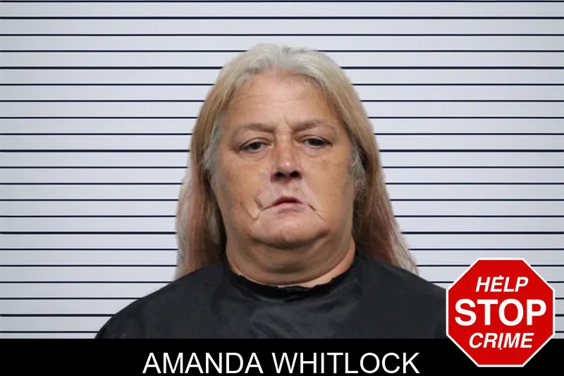 Amanda Whitlock mugshot – Habersham County , Georgia Amanda Whitlock mugshot