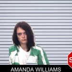 Amanda Williams mugshot – Emanuel County , Georgia Amanda Williams mugshot