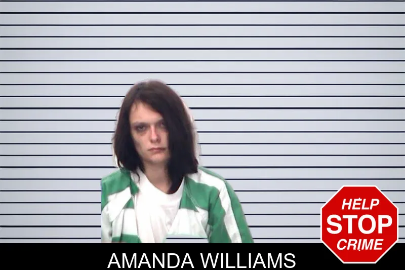 Amanda Williams mugshot – Emanuel County , Georgia Amanda Williams mugshot