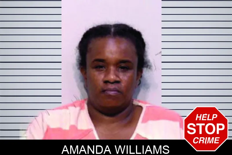 Amanda Williams mugshot – Bartow County , Georgia Amanda Williams mugshot