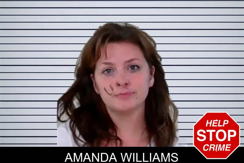 Amanda Williams mugshot – Liberty County , Georgia Amanda Williams mugshot
