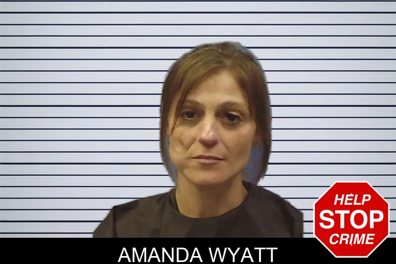 Amanda Wyatt mugshot – Chattooga County , Georgia Amanda Wyatt mugshot