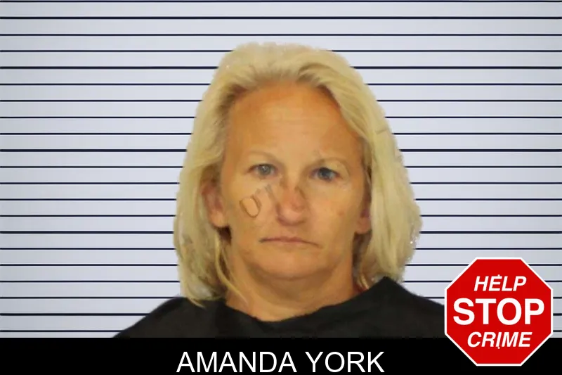Amanda York mugshot