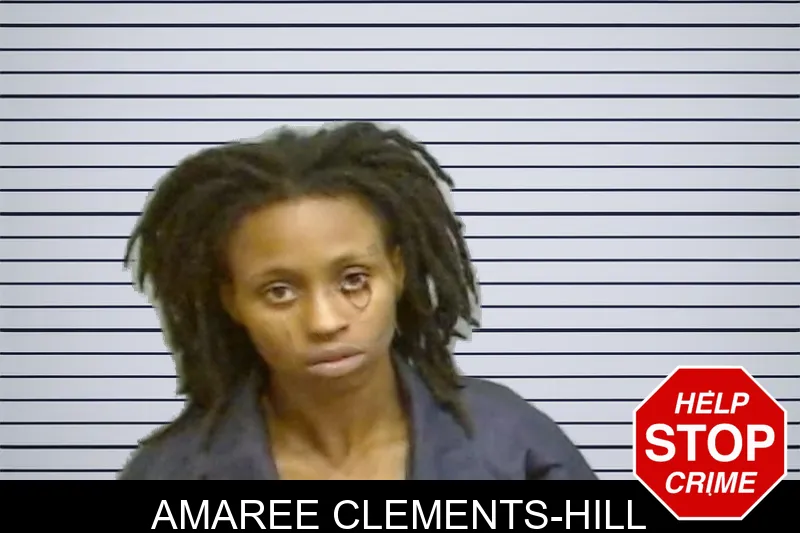 Amaree Clements-Hill mugshot – Fulton County , Georgia Amaree Clements-Hill mugshot