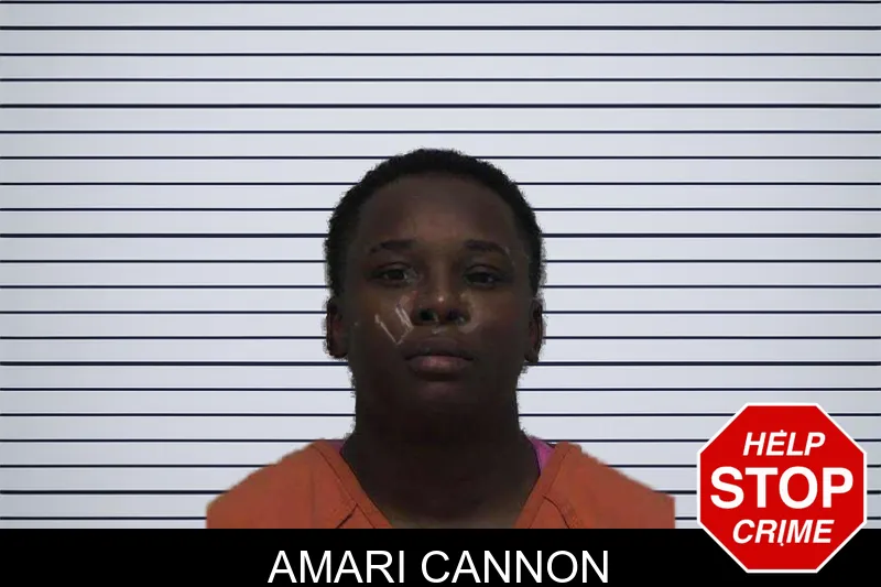 Amari Cannon mugshot