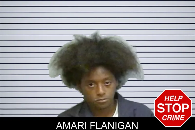 Amari Flanigan mugshot – Fulton County , Georgia Amari Flanigan mugshot