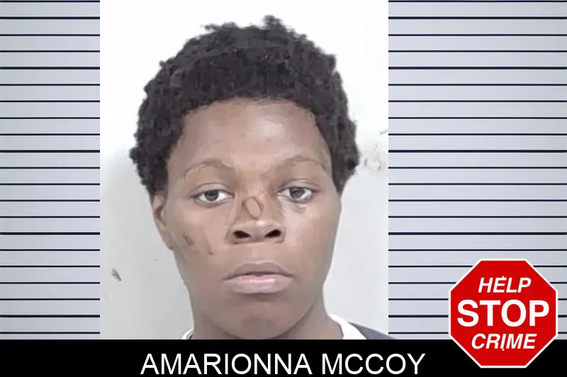 Amarionna McCoy mugshot – Lowndes County , Georgia Amarionna McCoy mugshot