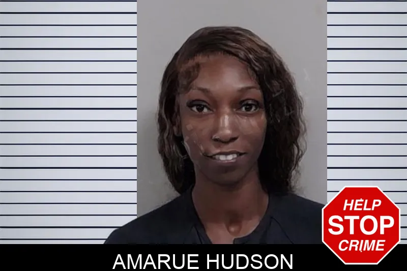 Amarue Hudson mugshot – Lowndes County , Georgia Amarue Hudson mugshot