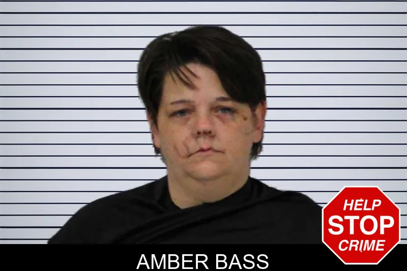 Amber Bass mugshot