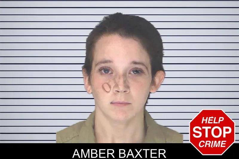 Amber Baxter mugshot