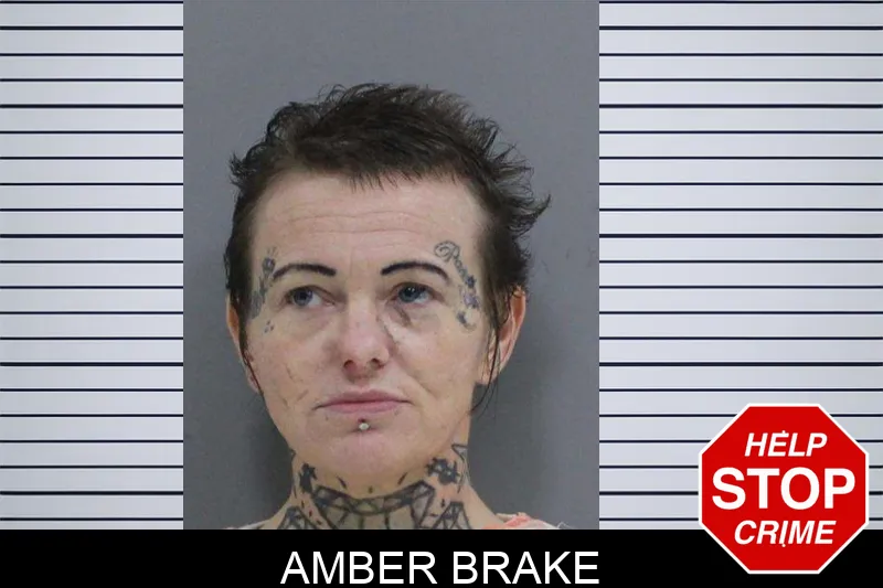 Amber Brake mugshot – Rabun County , Georgia Amber Brake mugshot