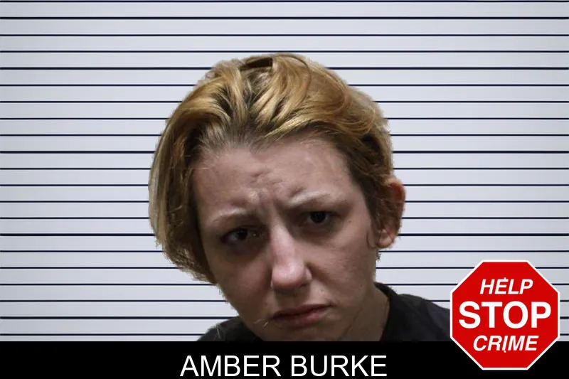 Amber Burke mugshot – Haralson County , Georgia Amber Burke mugshot