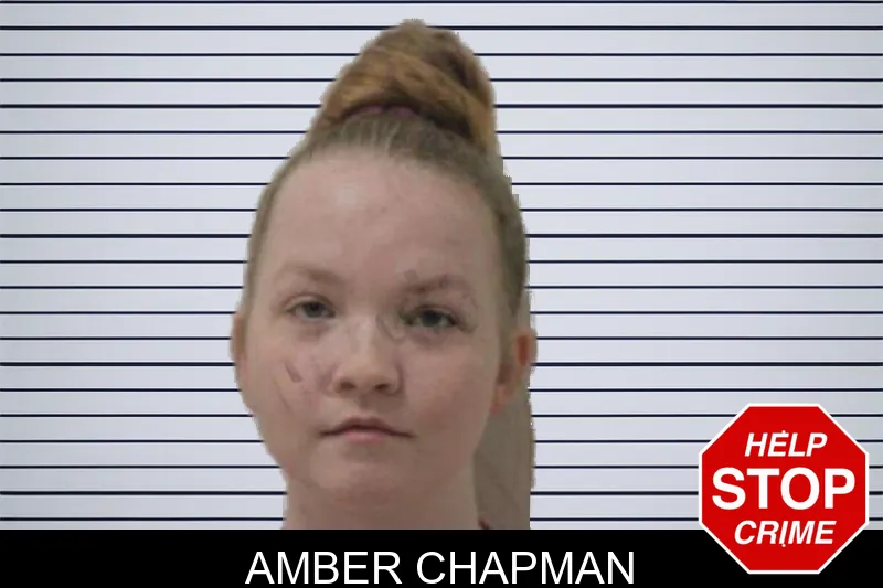 Amber Chapman mugshot – Jones County , Georgia Amber Chapman mugshot