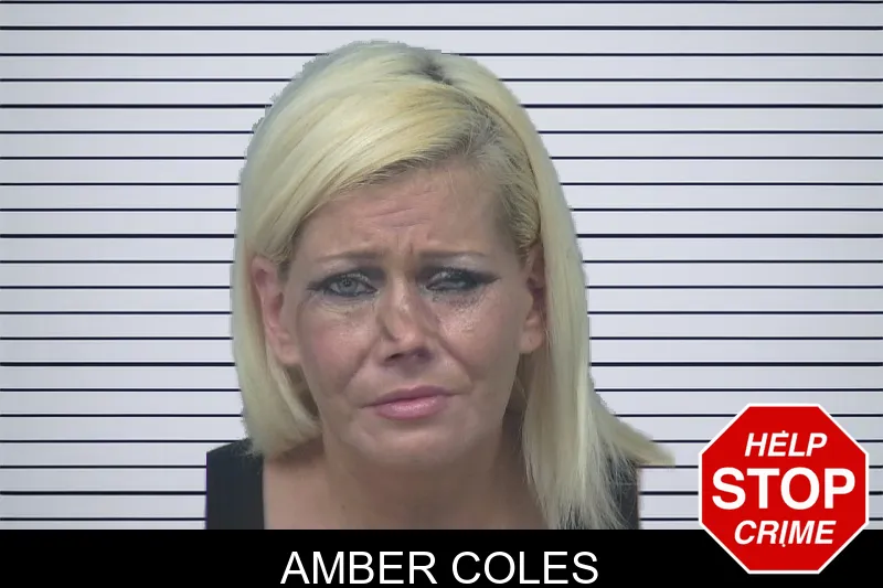Amber Coles mugshot – Gwinnett County , Georgia Amber Coles mugshot