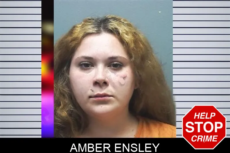 Amber Ensley mugshot – Cherokee County , Georgia Amber Ensley mugshot