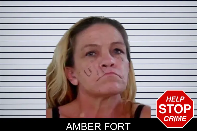 Amber Fort mugshot – Liberty County , Georgia Amber Fort mugshot