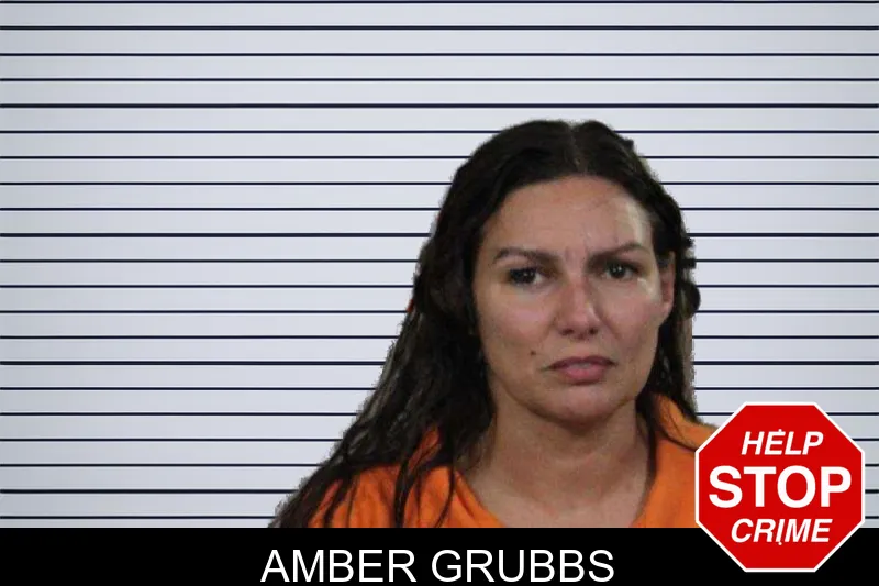Amber Grubbs mugshot – Lamar County , Georgia Amber Grubbs mugshot