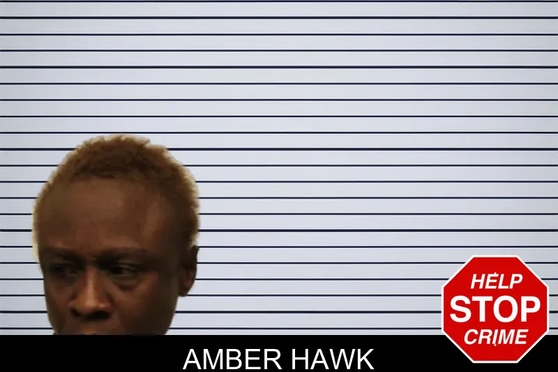 Amber Hawk mugshot – Chatham County , Georgia Amber Hawk mugshot