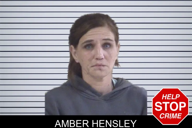 Amber Hensley mugshot – Whitfield County , Georgia Amber Hensley mugshot