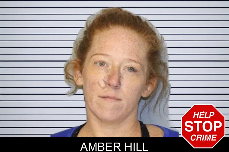 Amber Hill mugshot – Hall County , Georgia Amber Hill mugshot