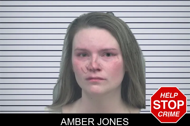 Amber Jones mugshot – Gwinnett County , Georgia Amber Jones mugshot