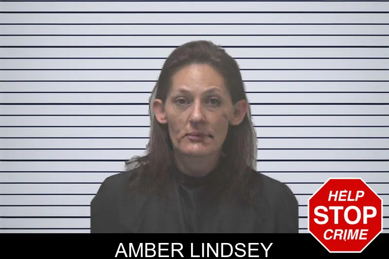 Amber Lindsey mugshot – Coweta County , Georgia Amber Lindsey mugshot