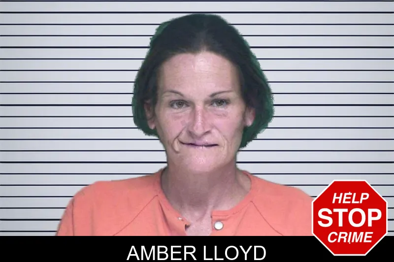 Amber Lloyd mugshot – Appling County , Georgia Amber Lloyd mugshot