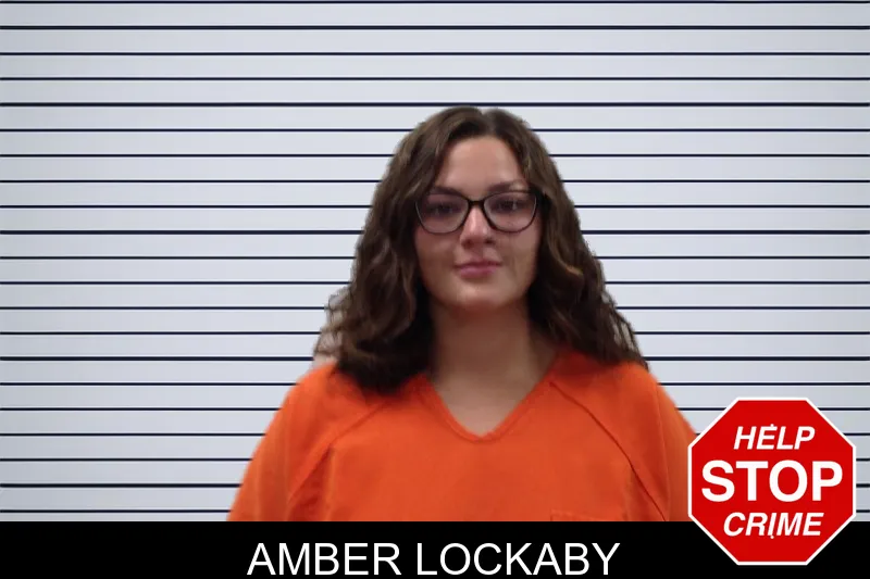 Amber Lockaby mugshot – Pickens County , Georgia Amber Lockaby mugshot