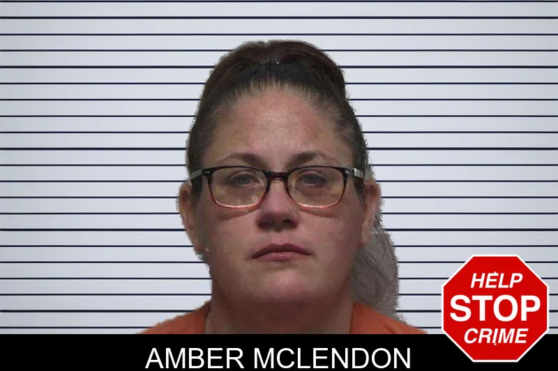 Amber McLendon mugshot – Laurens County , Georgia Amber McLendon mugshot