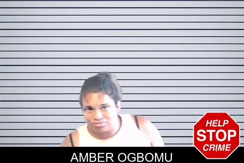 Amber Ogbomu mugshot – DeKalb County , Georgia Amber Ogbomu mugshot