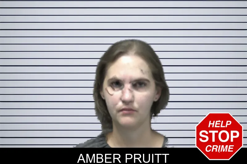 Amber Pruitt mugshot – Forsyth County , Georgia Amber Pruitt mugshot