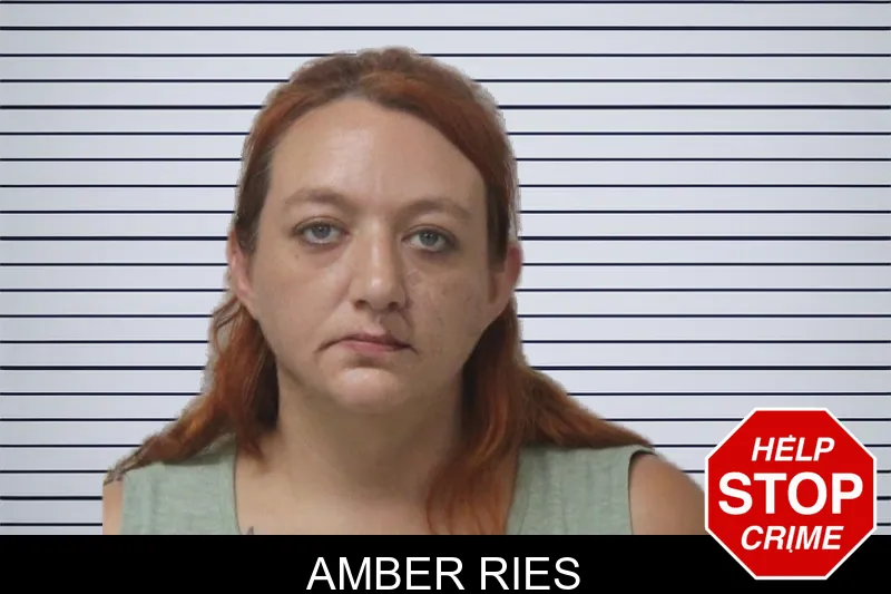Amber Ries mugshot – Mcintosh County , Georgia Amber Ries mugshot