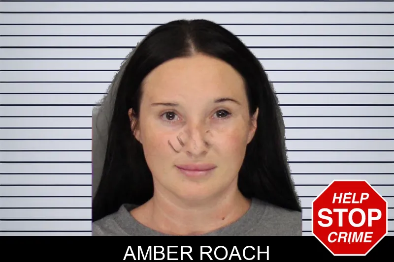 Amber Roach mugshot – Cobb County , Georgia Amber Roach mugshot