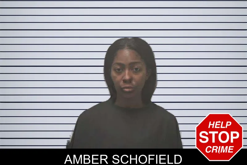 Amber Schofield mugshot – Coweta County , Georgia Amber Schofield mugshot