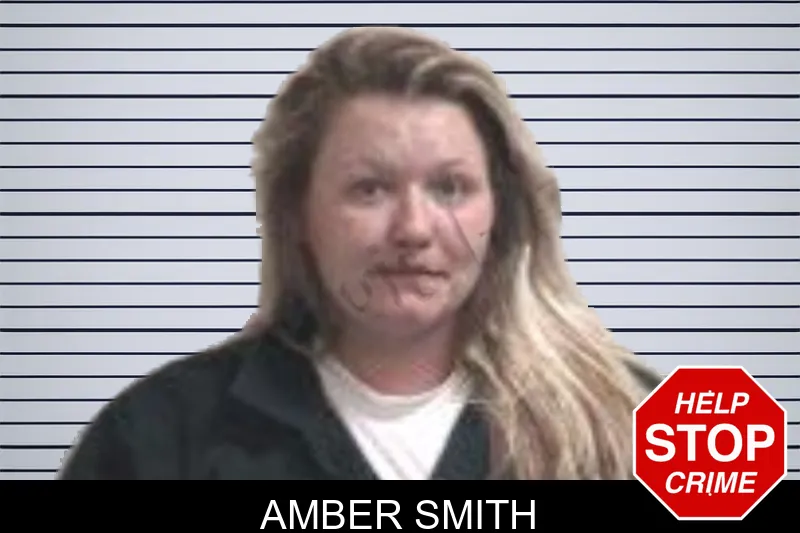 Amber Smith mugshot – Henry County , Georgia Amber Smith mugshot