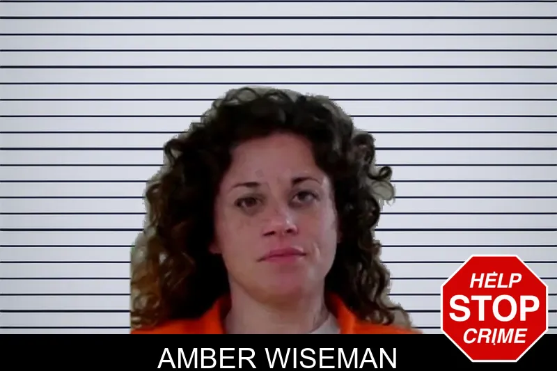 Amber Wiseman mugshot – Liberty County , Georgia Amber Wiseman mugshot