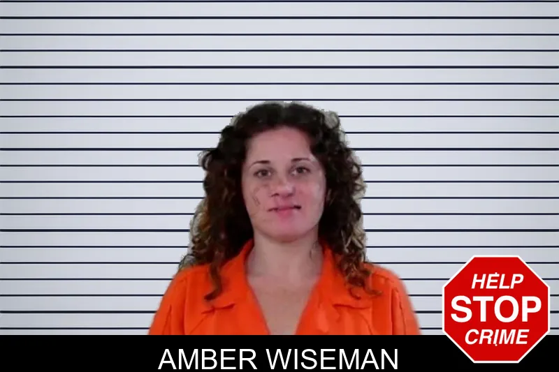Amber Wiseman mugshot – Liberty County , Georgia Amber Wiseman mugshot