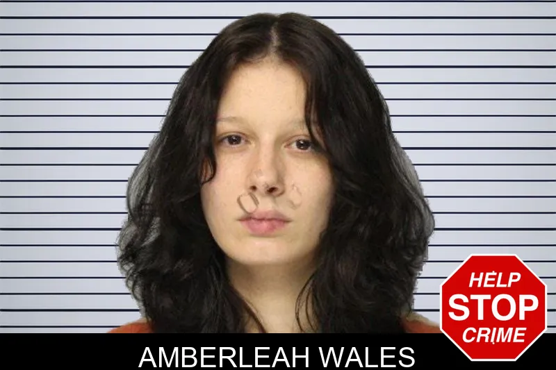 Amberleah Wales mugshot