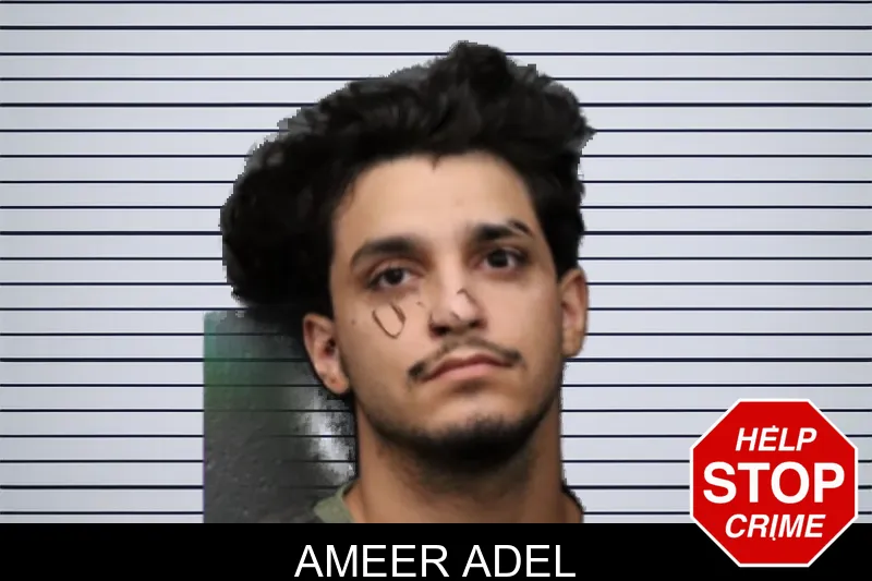 Ameer Adel mugshot – Forsyth County , Georgia Ameer Adel mugshot
