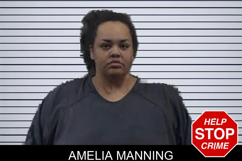Amelia Manning mugshot – Banks County , Georgia Amelia Manning mugshot